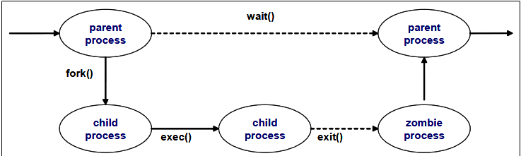How to Find and Kill All Zombie Processes