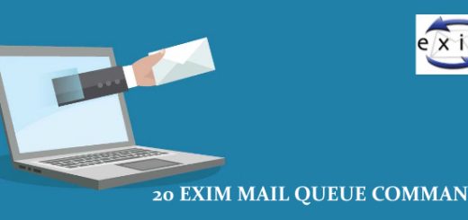 20 Exim Mail Queue Commands