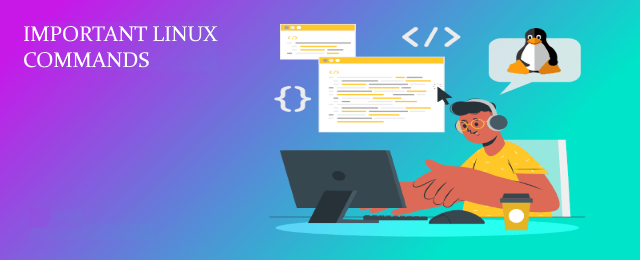 Important Linux Commands with Examples